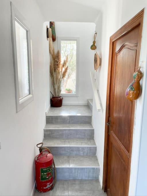 Villa Jeannette Grosseto-Prugna Bagian luar foto