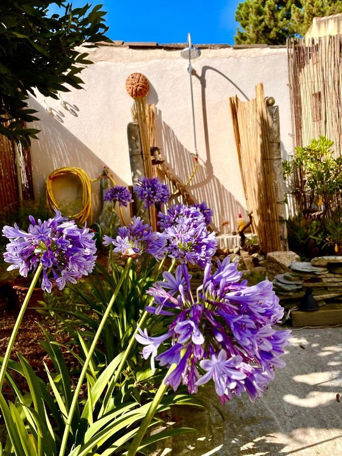 Villa Jeannette Grosseto-Prugna Bagian luar foto